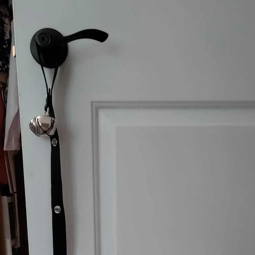 Bluetree Dog Doorbell